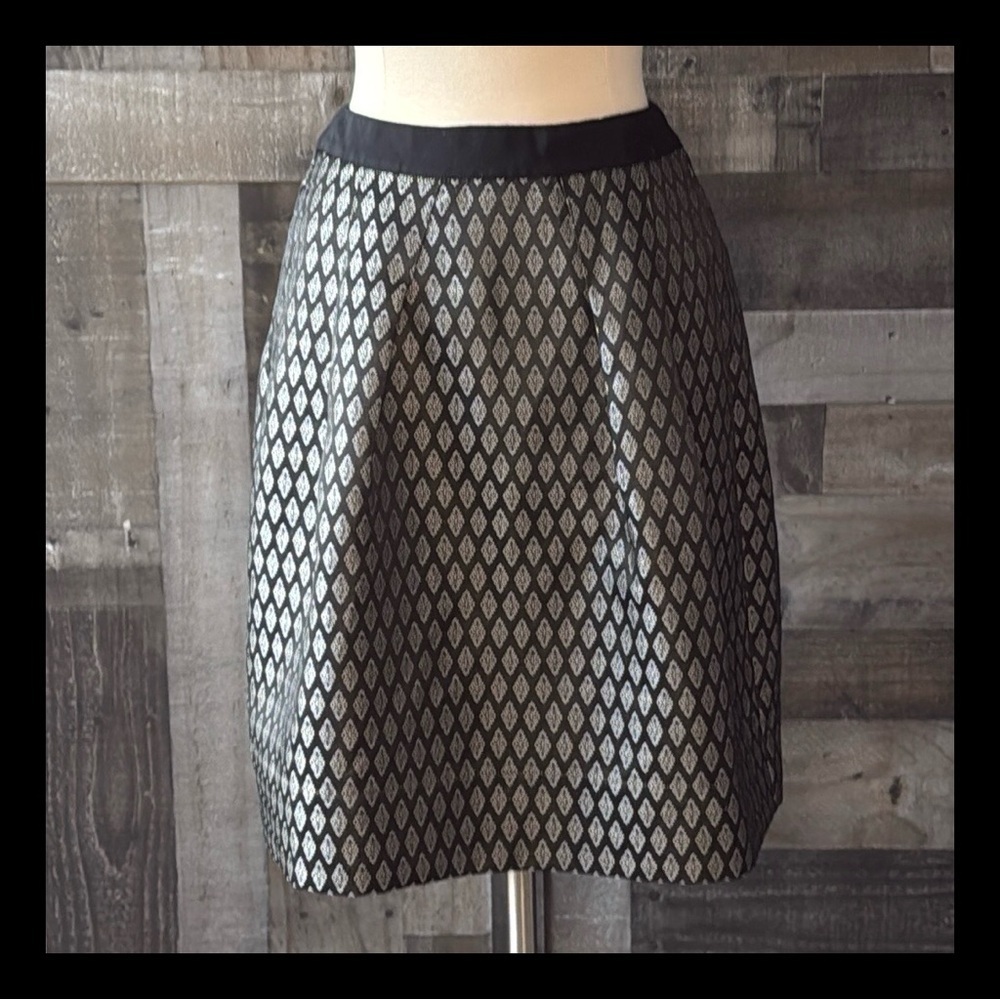 LOFT a-line skirt size 6 tall sparkly glamoratti dark academia whimsigoth witchy